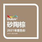 多乐士发布2021全球色彩趋势:砂陶棕让你无惧生活改变