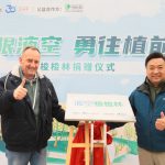 液化空气中国将在内蒙古阿拉善种植10万棵梭梭