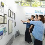 中化国际南移20年：坚定不移推进市场化与产业化