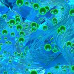 含锌尼龙织物可灭活新冠病毒和甲型流感