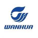 全球化工产品价格普遍上涨,万华化学2021年营收同比增长近100%达246.49亿元