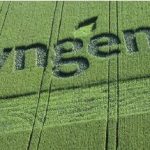 先正达中国所有业务强劲增长，俄乌冲突加剧全球粮食危机化肥价格上涨