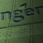 俄气通过“北溪”天然气管道的输气量或将下降40%;先正达考虑今年年底前在上海进行其规模庞大的IPO