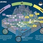 分析指出，塑料生产、使用和处置模式不可持续，并对人类健康、环境和经济造成重大损害