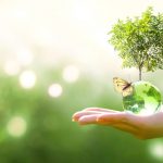 2024年全球能源奖揭晓:英美中三国学者因突出贡献荣获殊荣